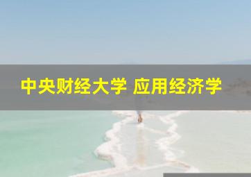 中央财经大学 应用经济学